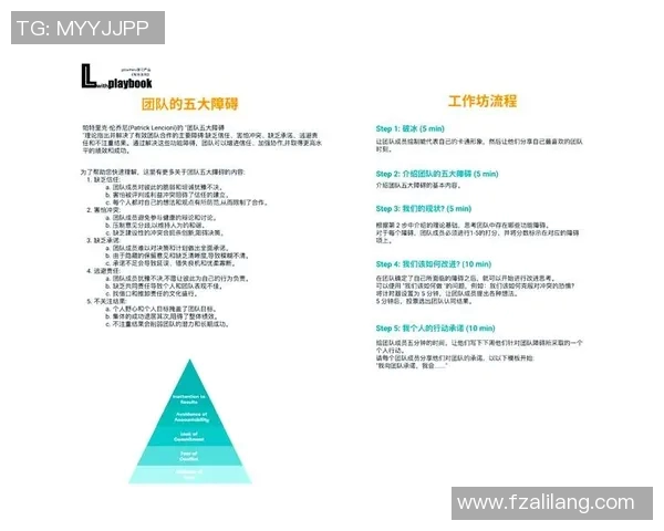 从零起步：全面解析攀岩团队协作的技巧与策略