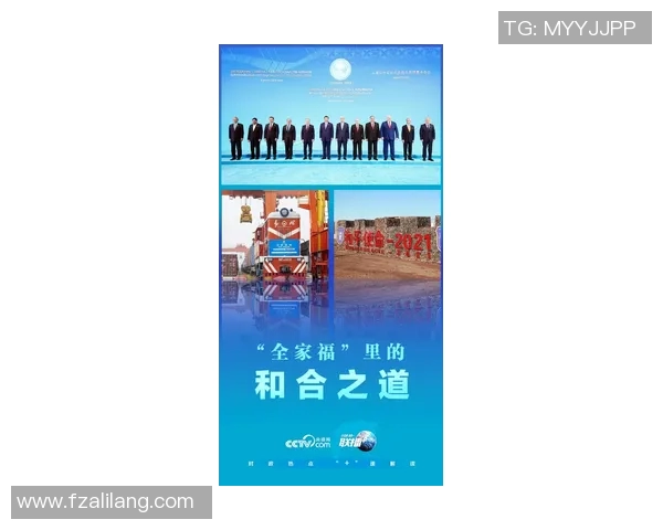 滑板文化的力量：深入杭州滑板队的团队精神与协作之道