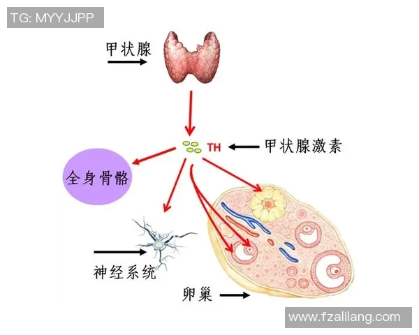 游泳运动的技术要点与训练方法探讨及其对健康的积极影响分析