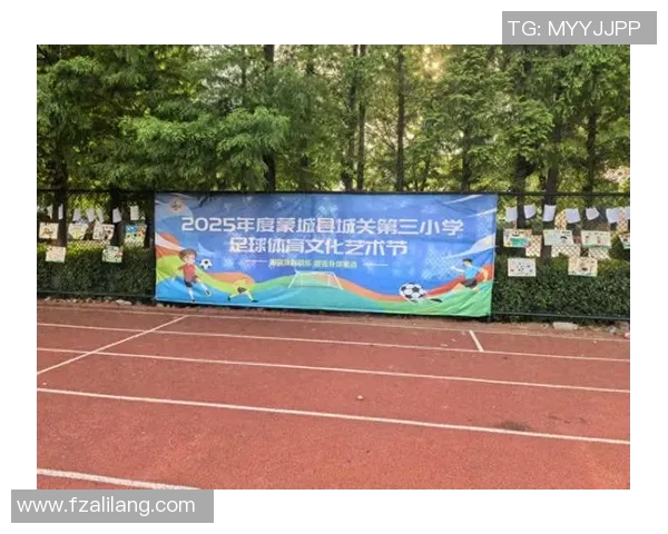 绿茵场上的文化盛宴：探索足球世界的魅力与风采